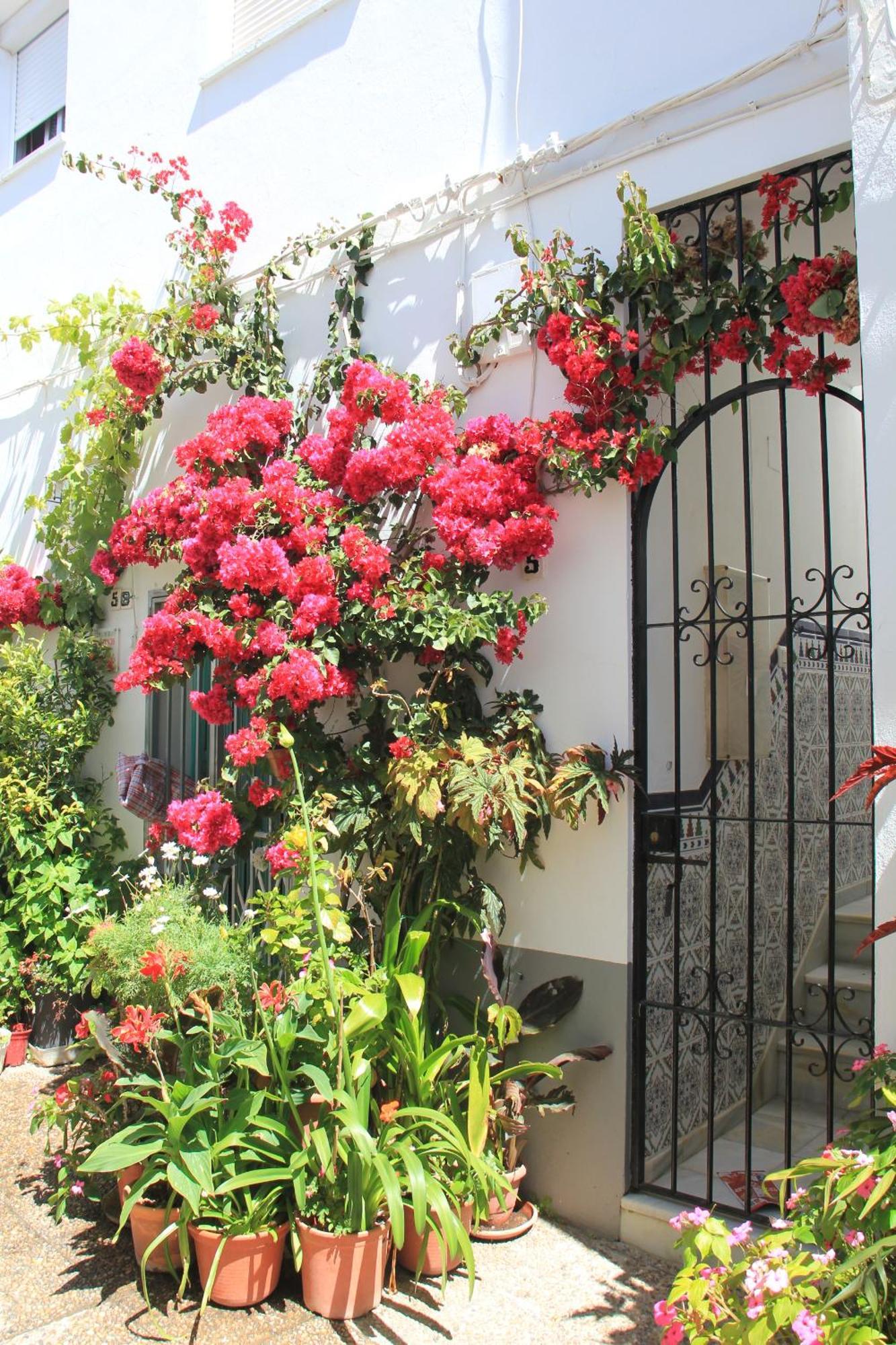 הוילה קוניל דה לה פרונטרה Casa Magallanes Conil מראה חיצוני תמונה